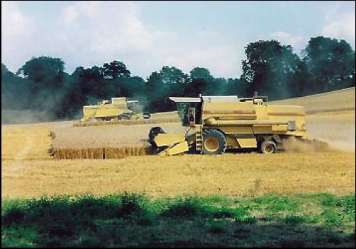 Others busy at work getting the crops in while we enjoy ourselves.